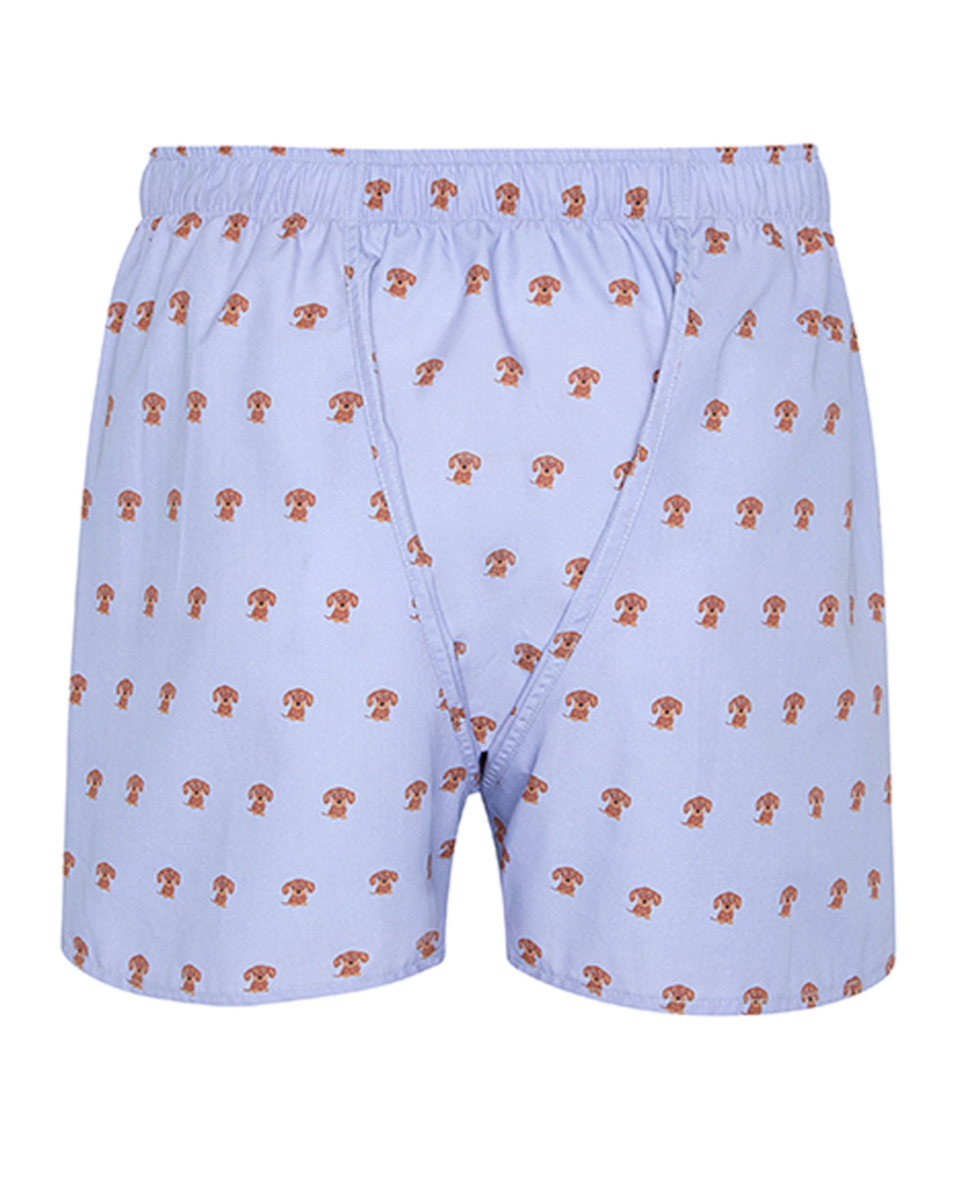 Boxers em Tecido com Estampado Azul-1