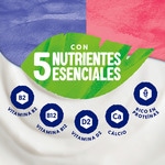 Speciality gluten-free, lactose-free soya dessert 2 cranberry + 2 red berries 4-pack units 125 g