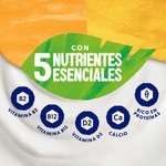 Speciality vegetarian soya dessert 2 peach + 2 pineapple and passion fruit 4-pack units 125 g gluten-free, lactose-free