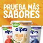 Big Pot plant-based soya dessert with mango and no added sugar container 400 g gluten-free, lactose-free