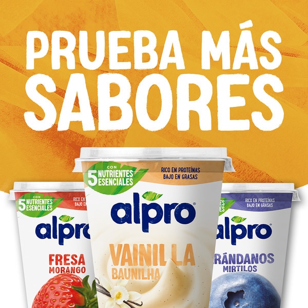 Big Pot plant-based soya dessert with mango and no added sugar container 400 g gluten-free, lactose-free