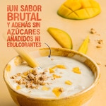 Big Pot plant-based soya dessert with mango and no added sugar container 400 g gluten-free, lactose-free