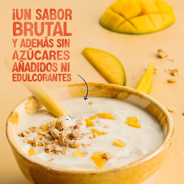 Big Pot plant-based soya dessert with mango and no added sugar container 400 g gluten-free, lactose-free