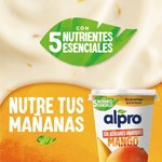 Big Pot plant-based soya dessert with mango and no added sugar container 400 g gluten-free, lactose-free