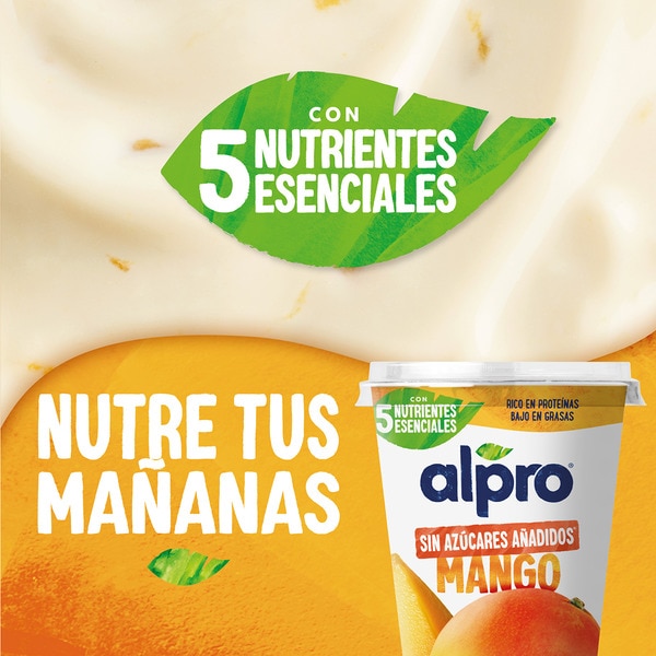 Big Pot plant-based soya dessert with mango and no added sugar container 400 g gluten-free, lactose-free