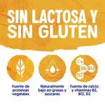 Big Pot plant-based soya dessert with mango and no added sugar container 400 g gluten-free, lactose-free