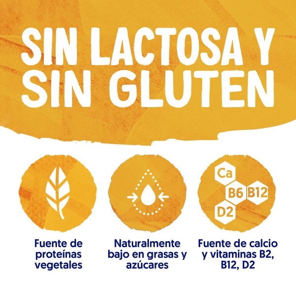 Big Pot plant-based soya dessert with mango and no added sugar container 400 g gluten-free, lactose-free