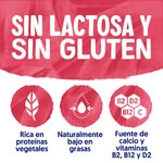 Big Pot plant-based soya treat with red berries and dates container 400 g gluten-free, lactose-free