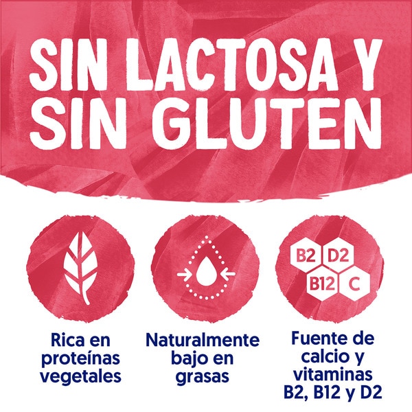 Big Pot plant-based soya treat with red berries and dates container 400 g gluten-free, lactose-free