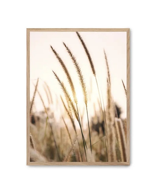 Imagen 0 de Cuadro pampas ii