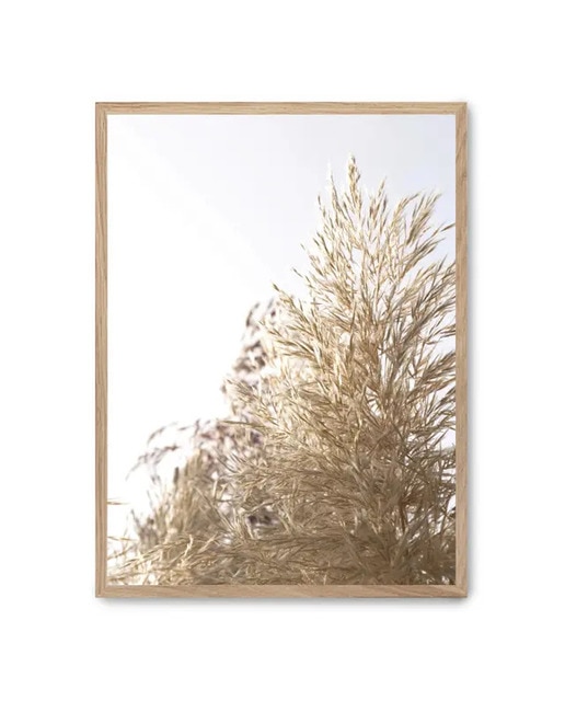 Imagen 0 de Cuadro wild plants ii