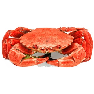 Navalheira Cozida Irlanda 4-8 Peças /kg kg