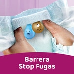 Activity Windeln 12 bis 17 kg Größe 5+ extrasaugfähig Paket 96 Einheiten Format 2 für 1