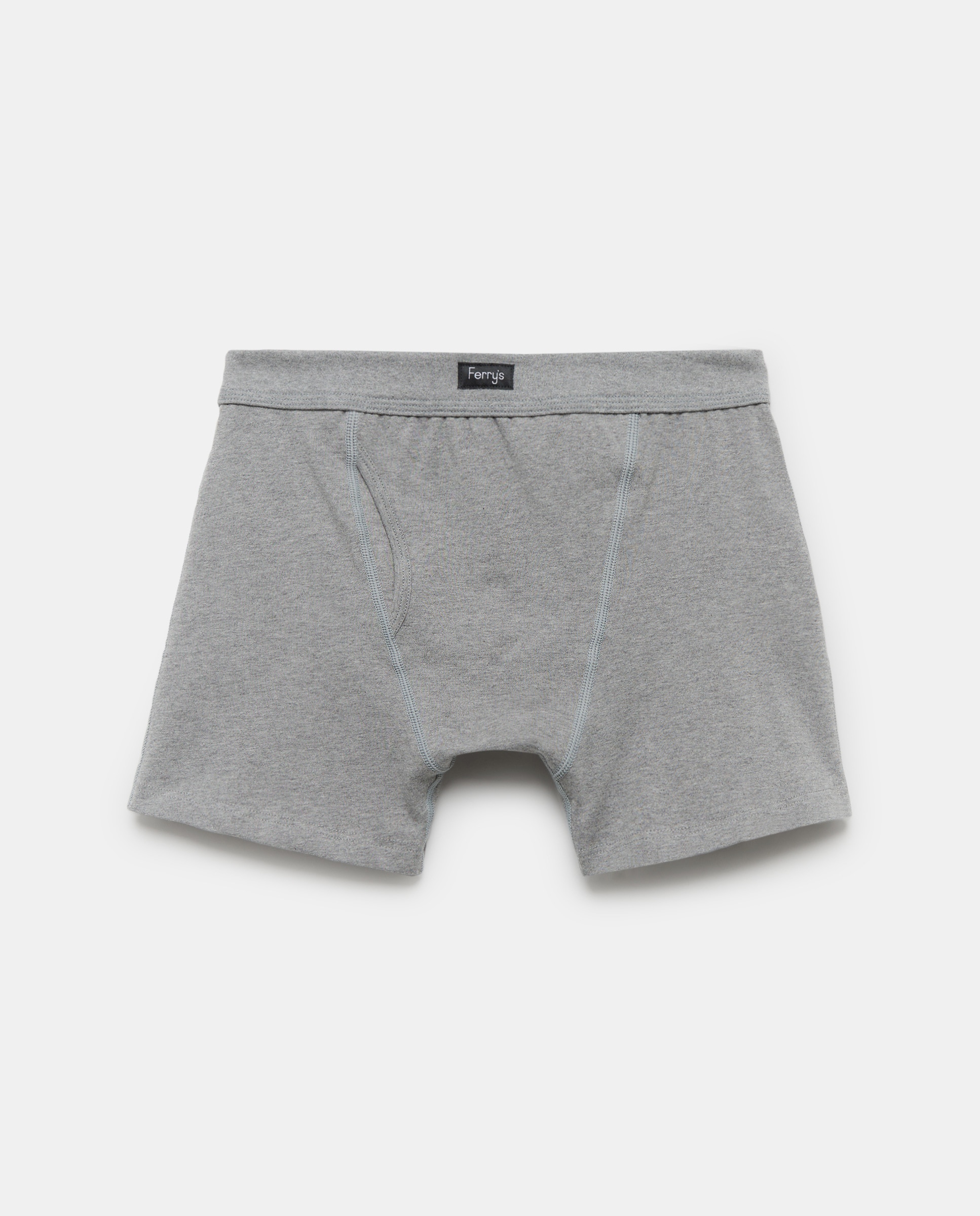 Imagem 0 de Boxers de malha de homem Ferrys cinzentos