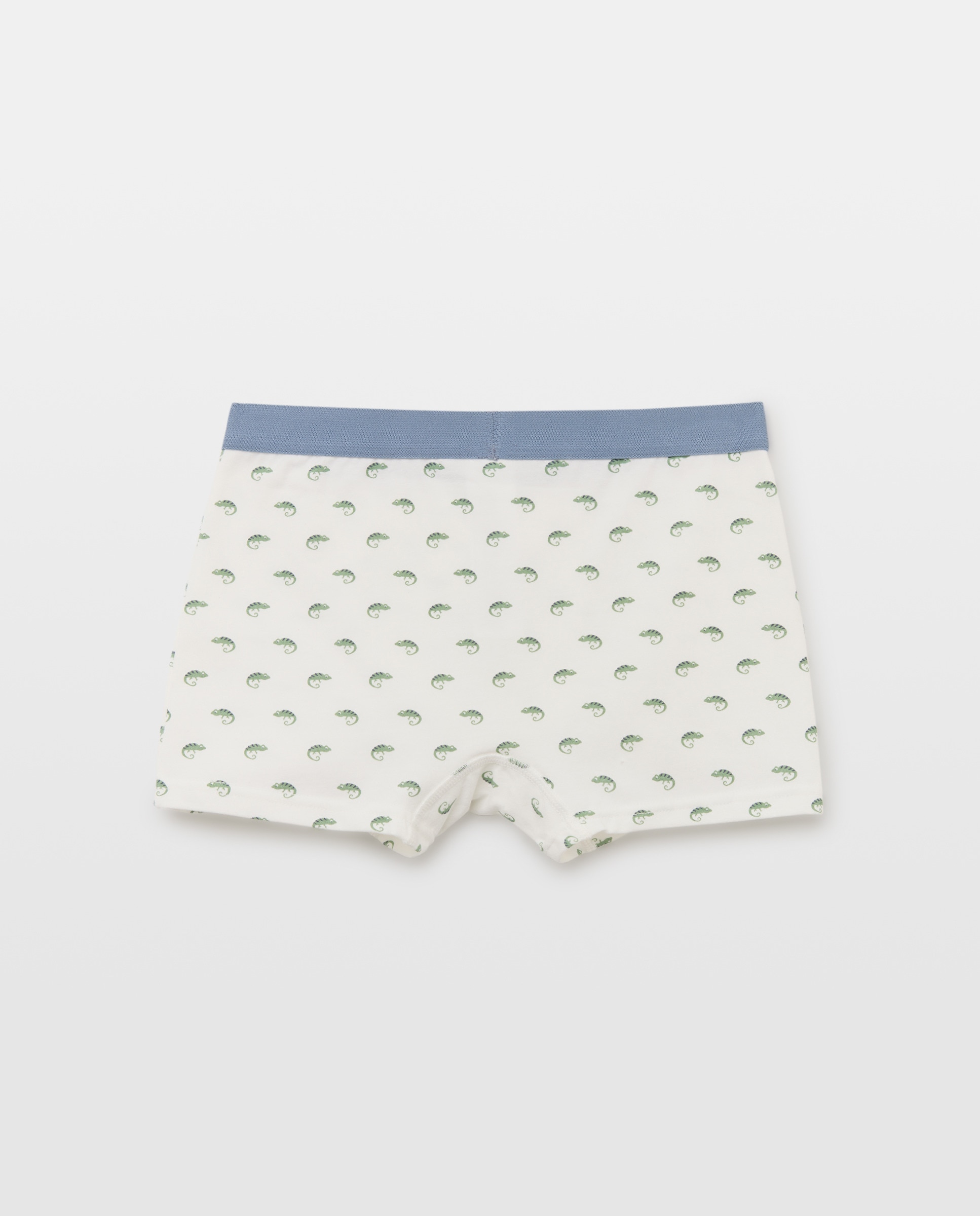 Pack de 2 boxers de niño fantasía Verde-2