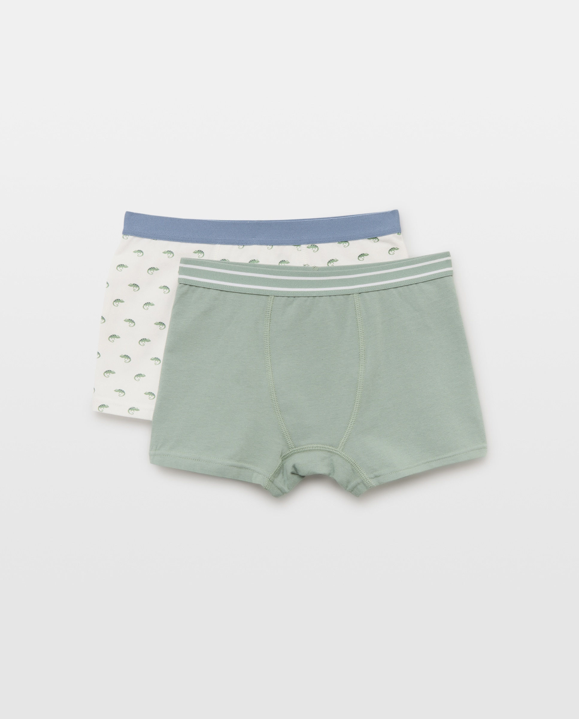 Pack de 2 boxers de niño fantasía Verde-1