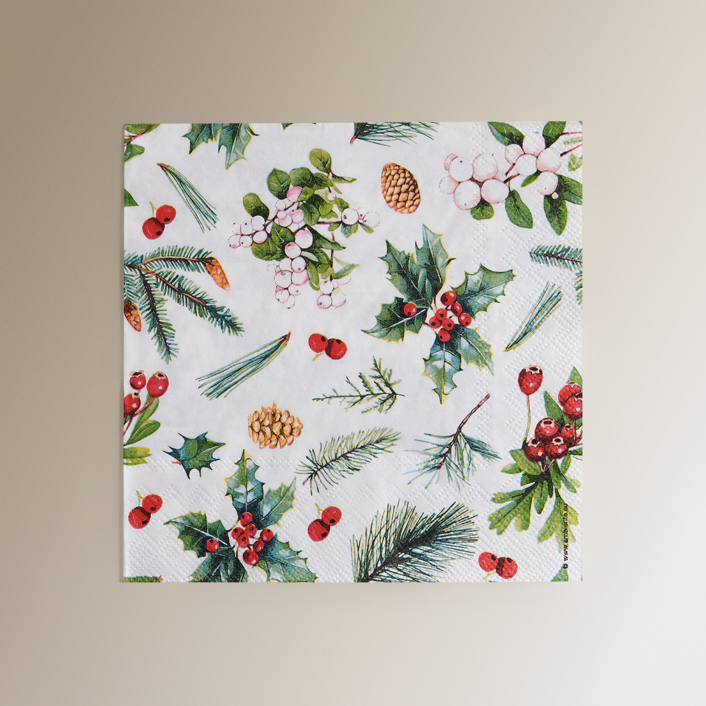 Pack de 20 servilletas de papel Winter Green Verde-1