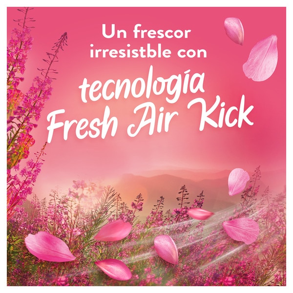 Weichspülerkonzentrat Frische Luft Wildblumen Flasche 50 Dosis