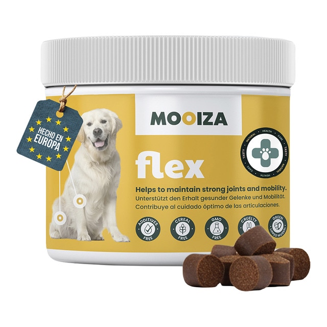 Imagen 0 de Snack natural para perros Flex Mooiza condroprotecto cordero, patata y boniato 300 g
