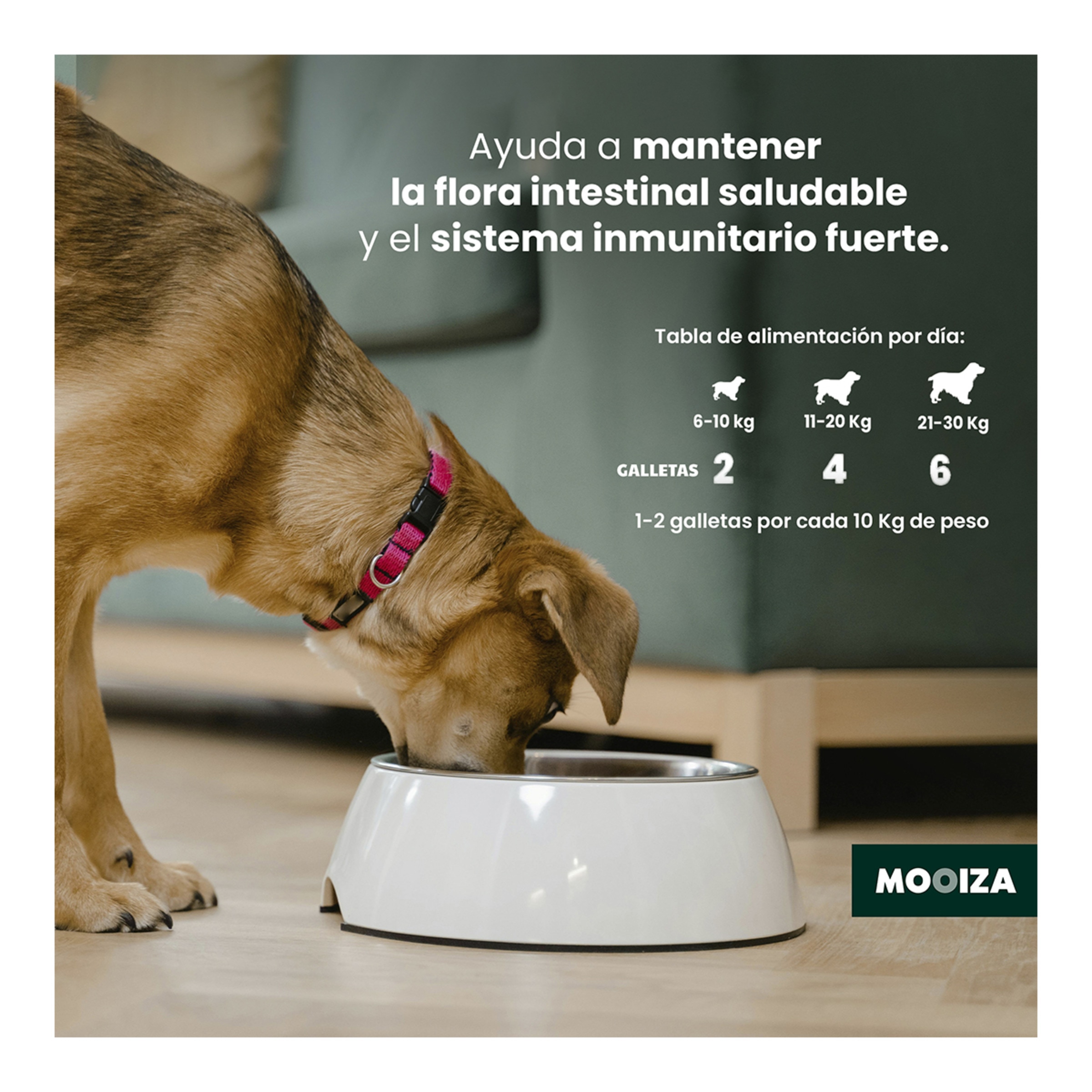 Snack natural para perros Biotic Moozia prebiotico cordero, patata y boniato 300 g 6