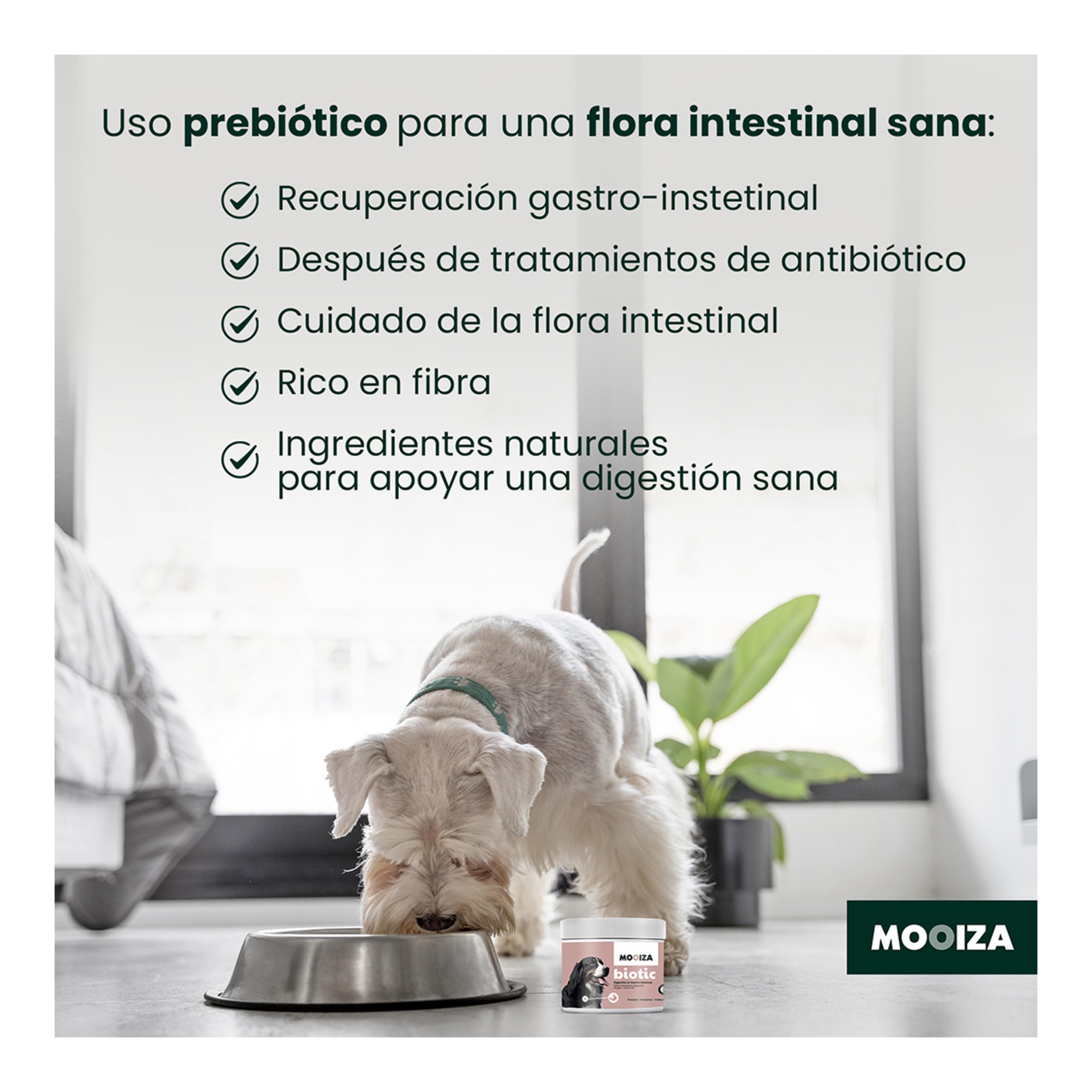 Snack natural para perros Biotic Moozia prebiotico cordero, patata y boniato 300 g 5