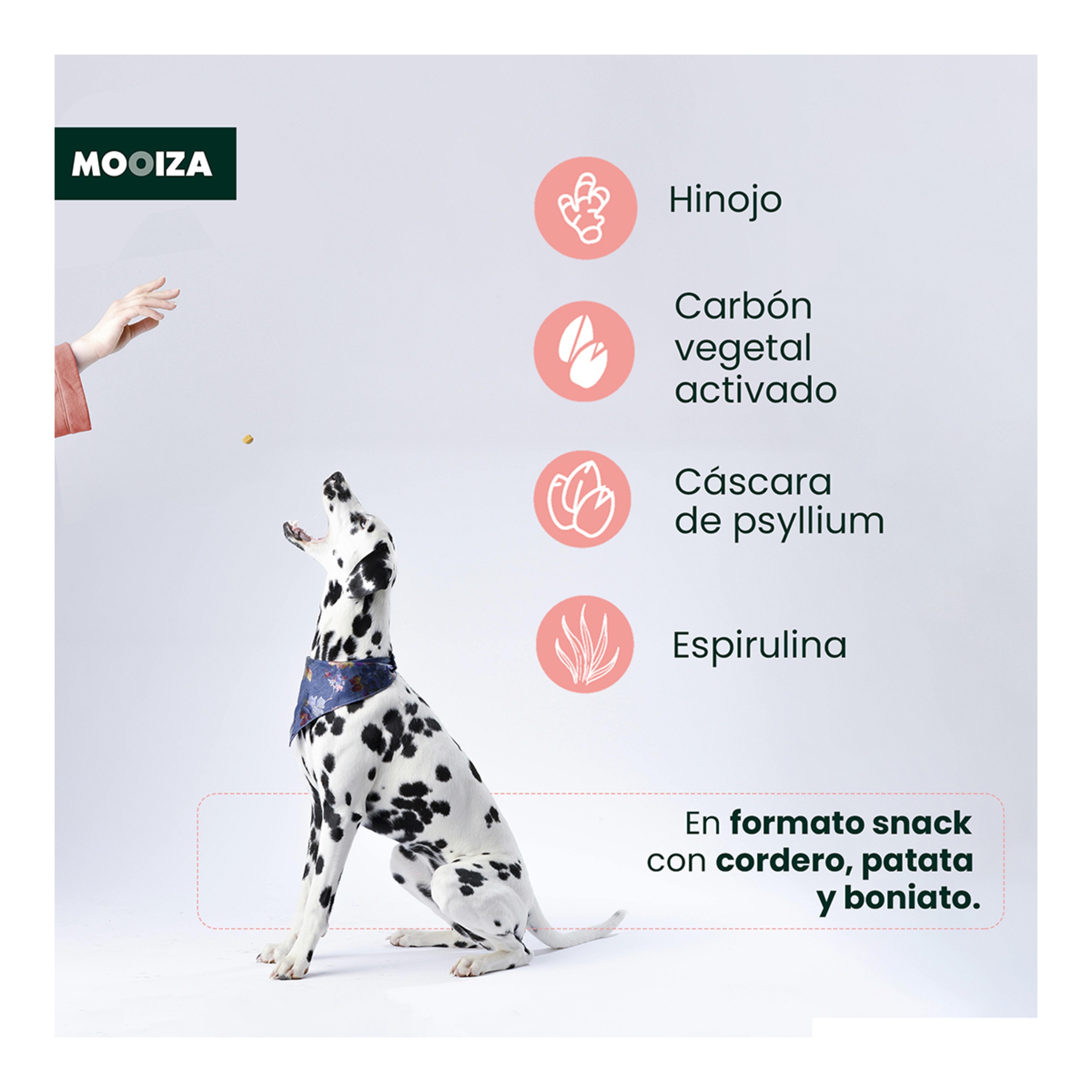Snack natural para perros Biotic Moozia prebiotico cordero, patata y boniato 300 g 3