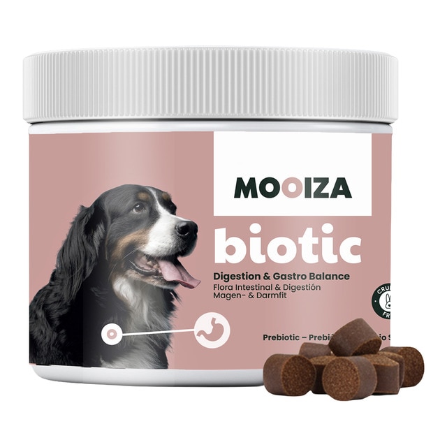 Imagen 0 de Snack natural para perros Biotic Moozia prebiotico cordero, patata y boniato 300 g