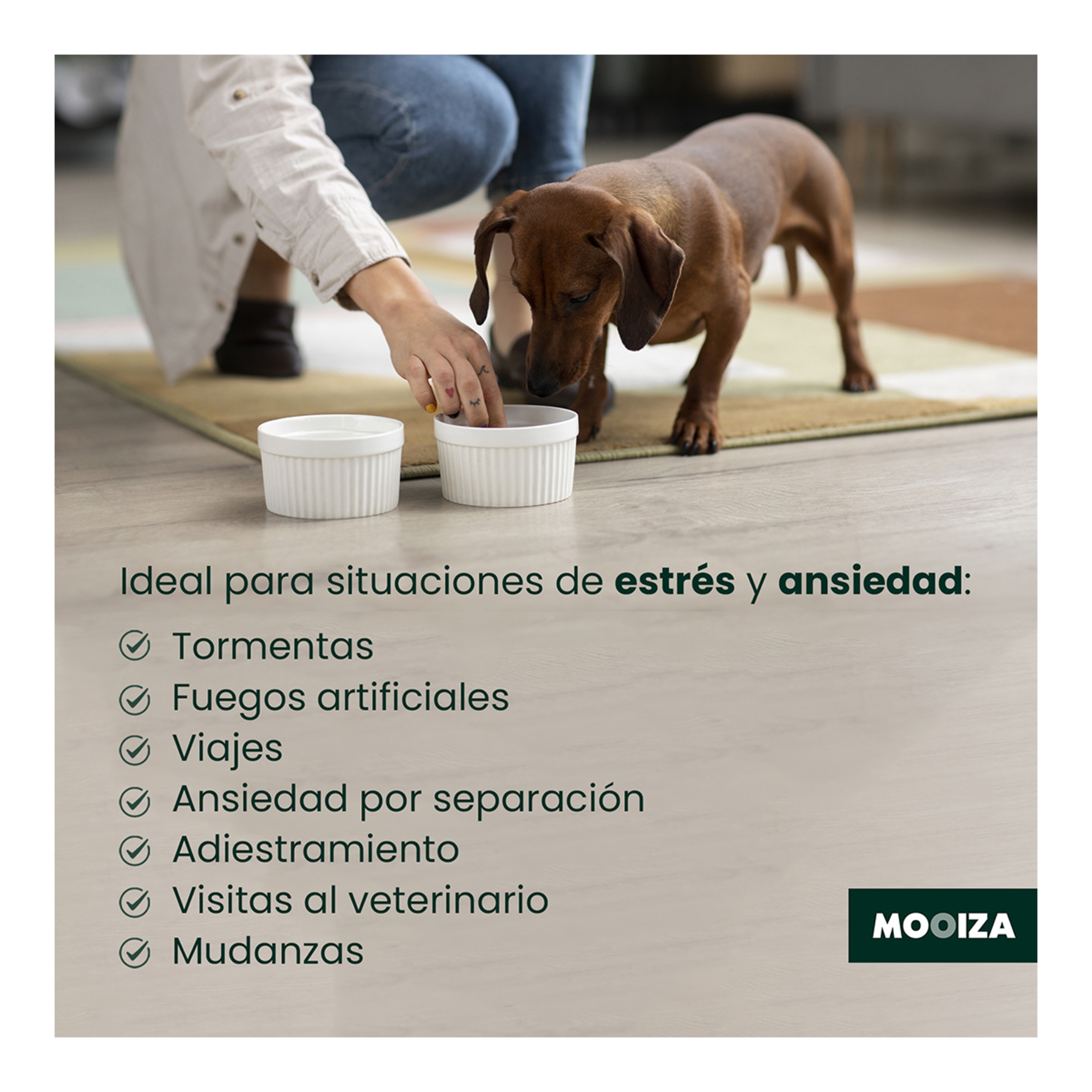 Gel calmante para perros y gatos Zen Forte Mooiza herbal 50 ml 6