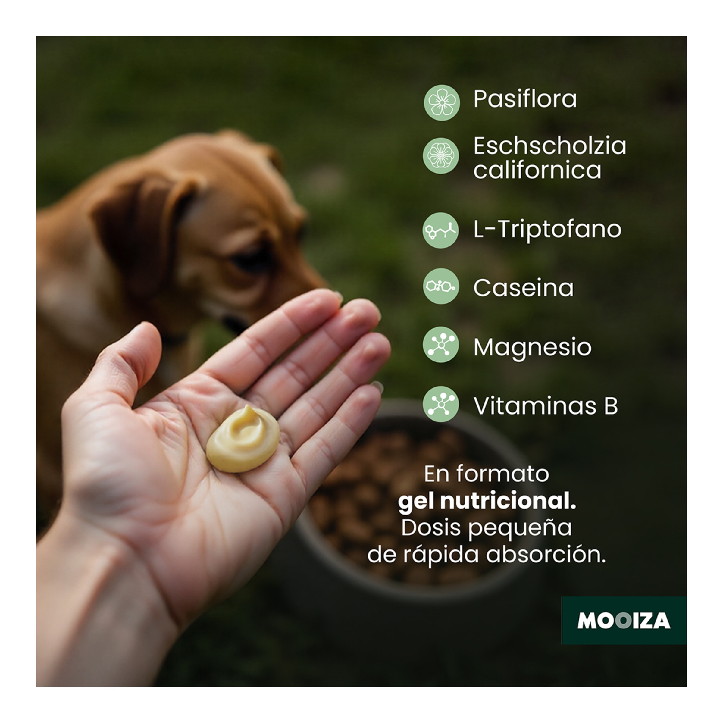 Gel calmante para perros y gatos Zen Forte Mooiza herbal 50 ml 5