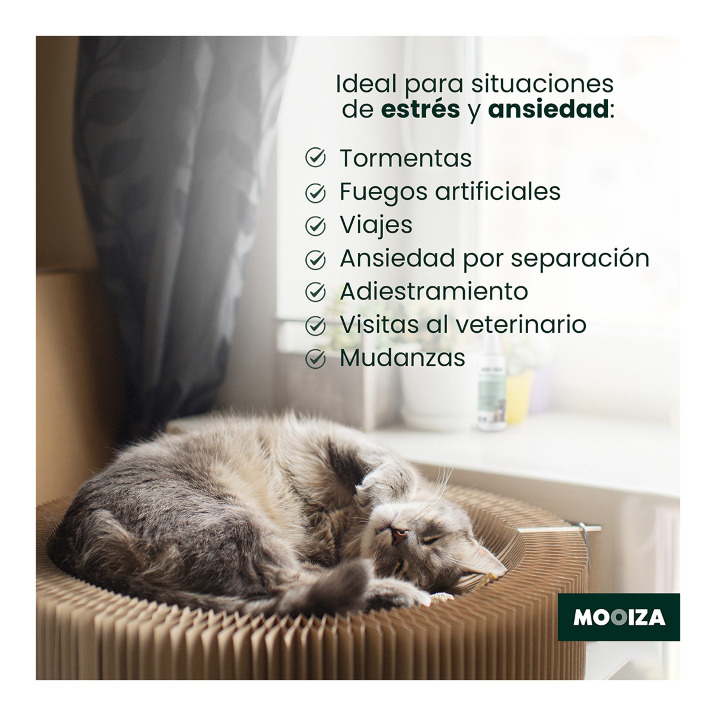 Spray calmante aromaterapia para perros y gatos Mooiza 125 ml 4