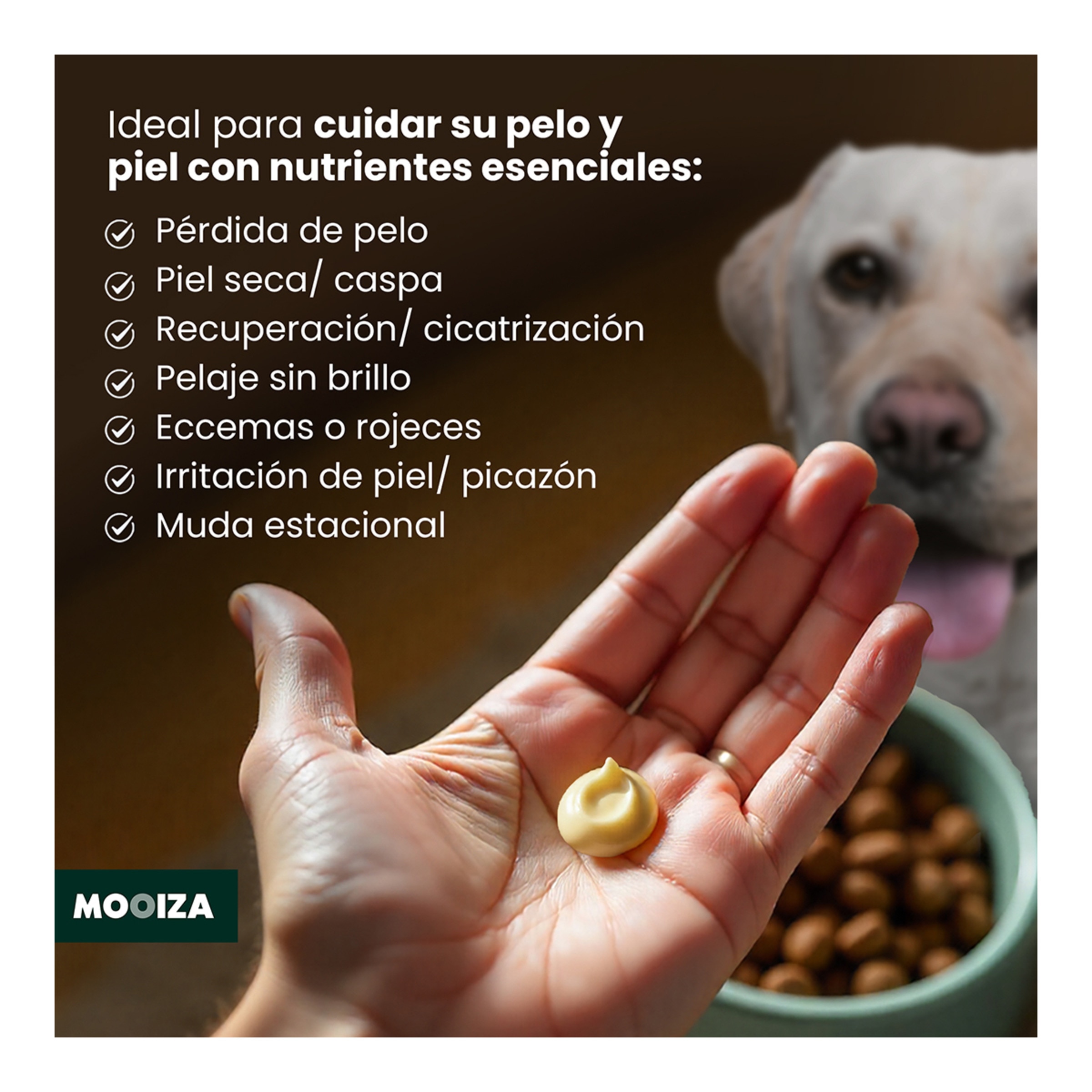 Gel Dermo para perros y gatos Mooiza para piel y pelo pescado 50 ml 4