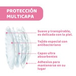 discos absorbentes box 30 units