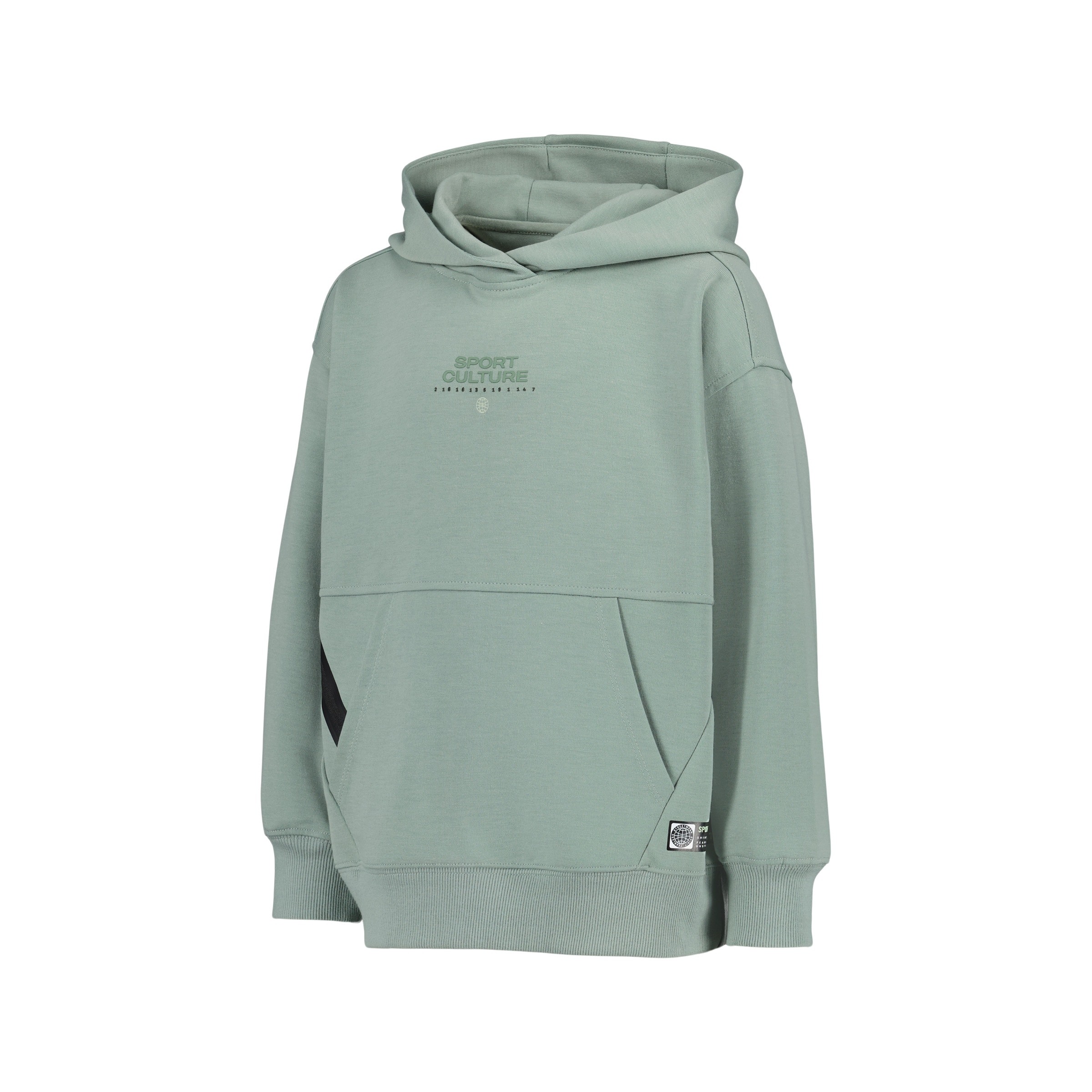 Sweatshirt com Capuz Sportcasual de Menino Verde-4