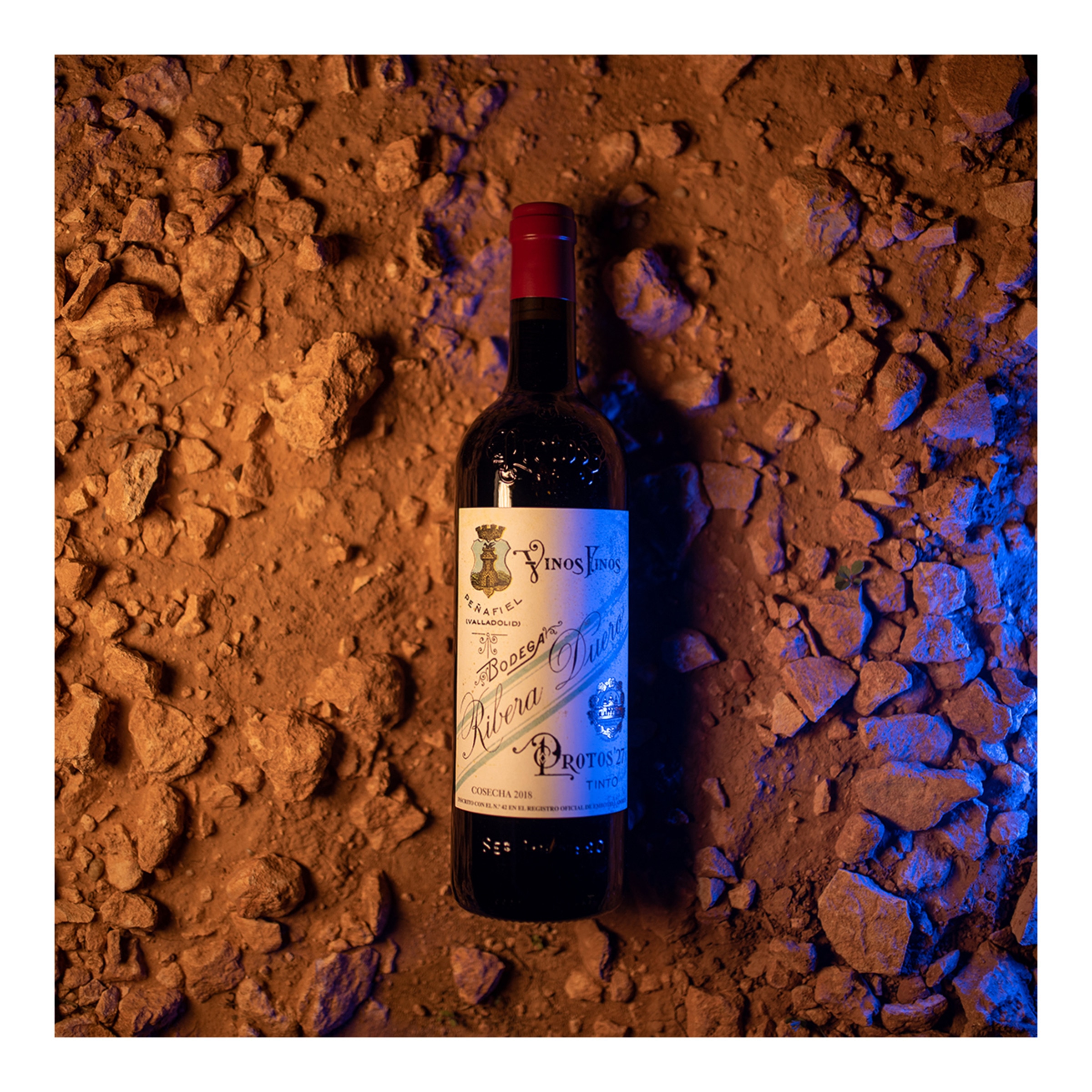 Vino tinto Protos 27 tempranillo 2022 Ribera del Duero 5