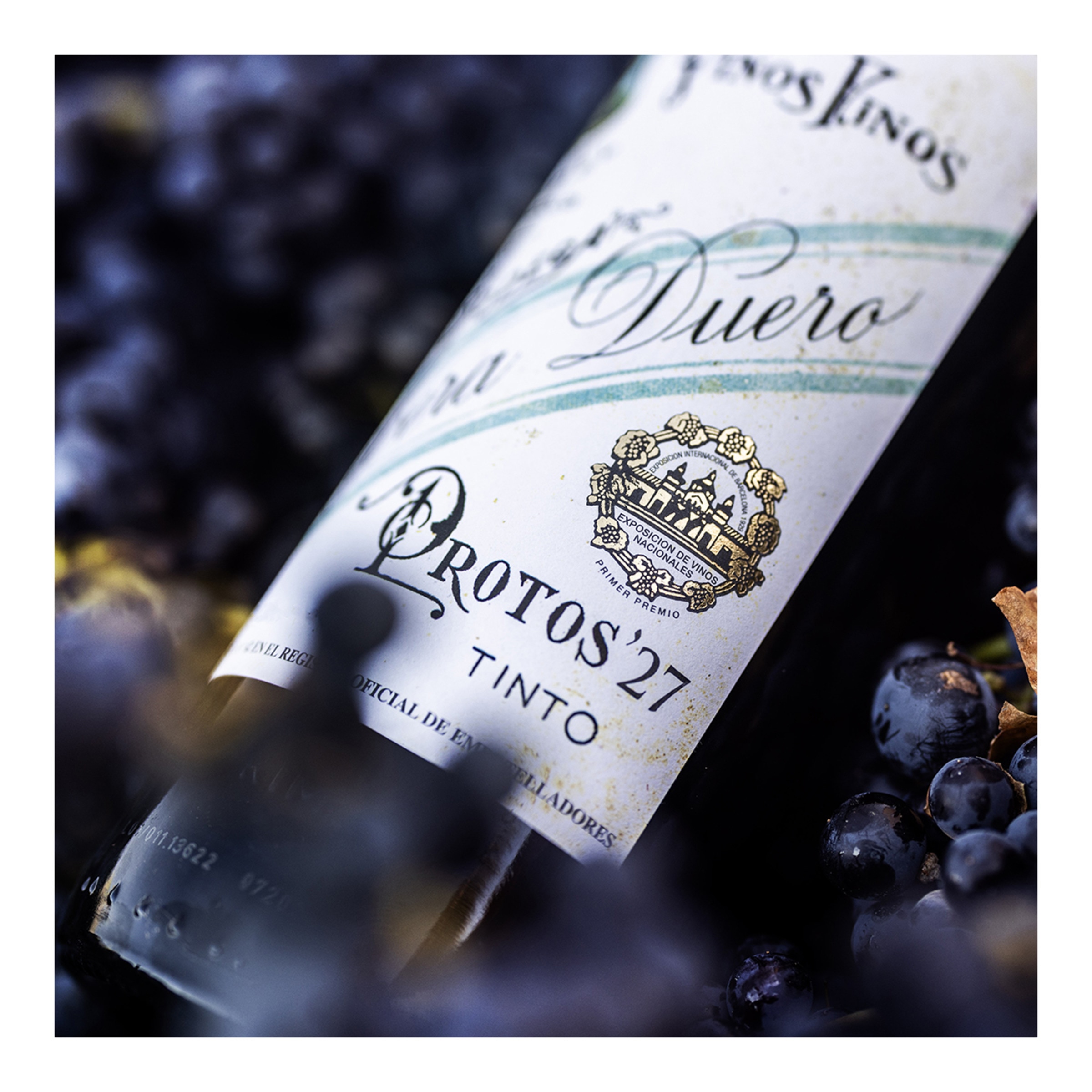 Vino tinto Protos 27 tempranillo 2022 Ribera del Duero 4