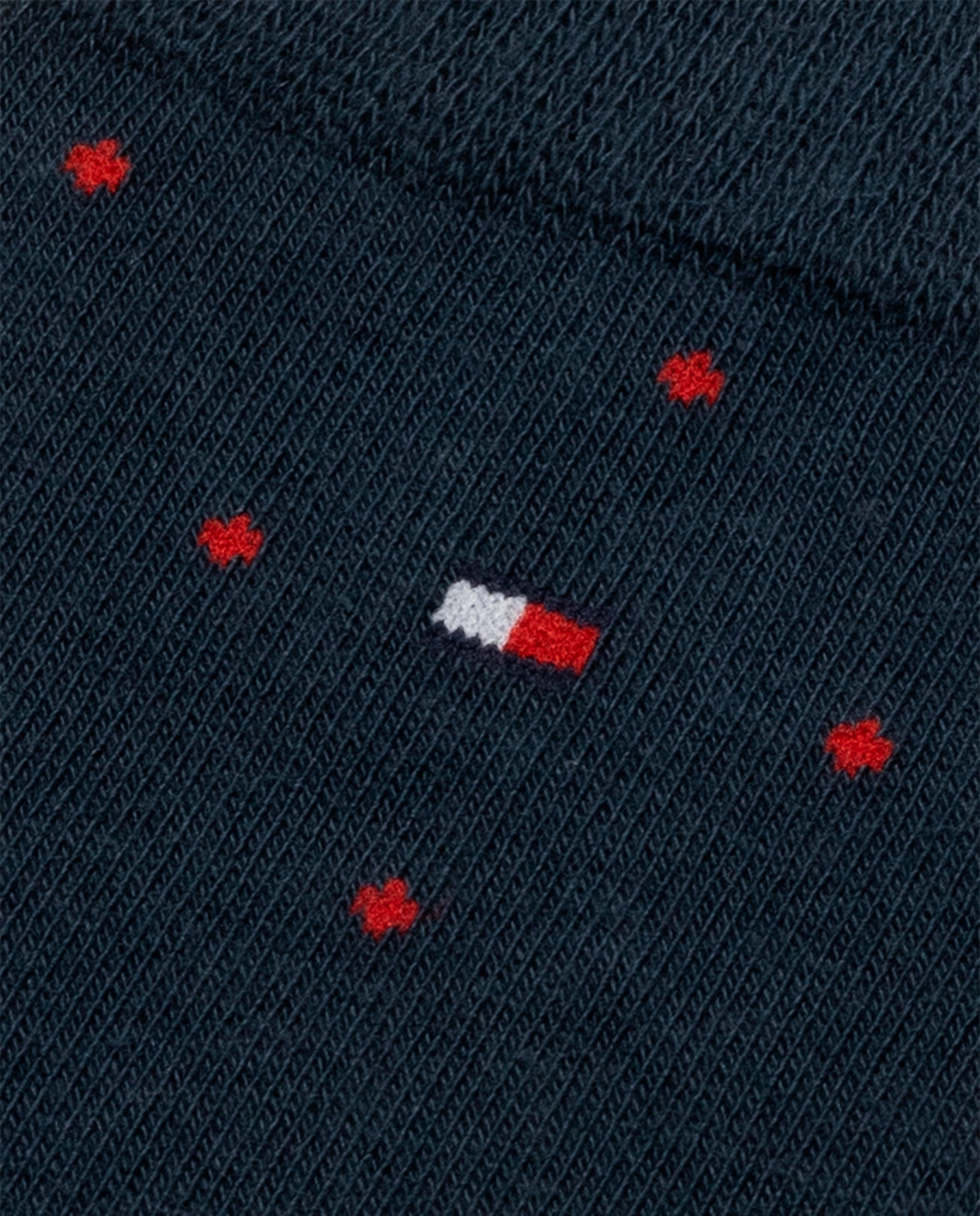 Pack de 2 Pares de Meias com Fantasia Azul-4
