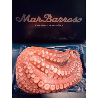 medio pulpo cocido peso aproximado pieza 1-2 kg - Mar Barroso