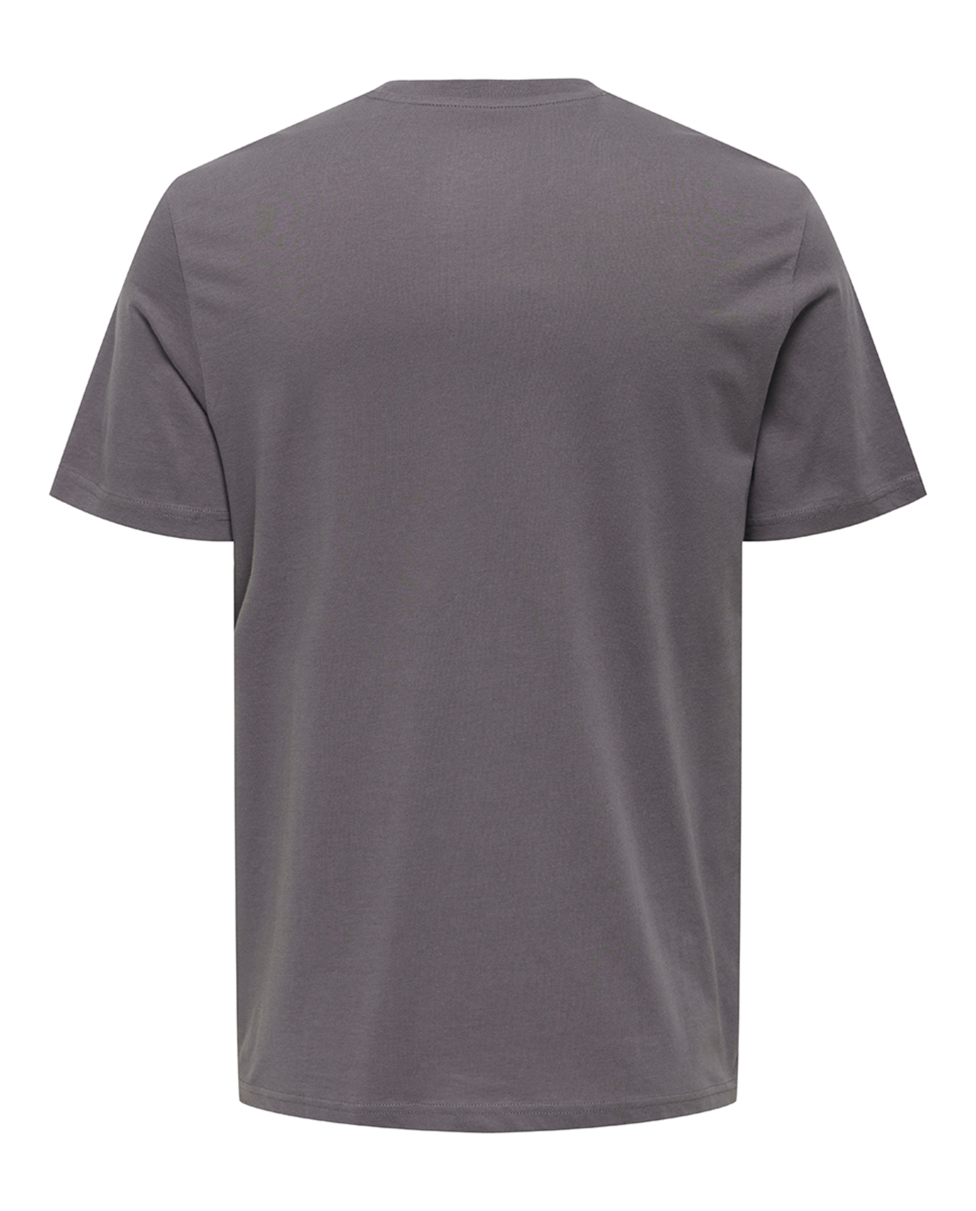 T-shirt de Manga Curta 100% Algodão. Regular Fit Cinzento-5