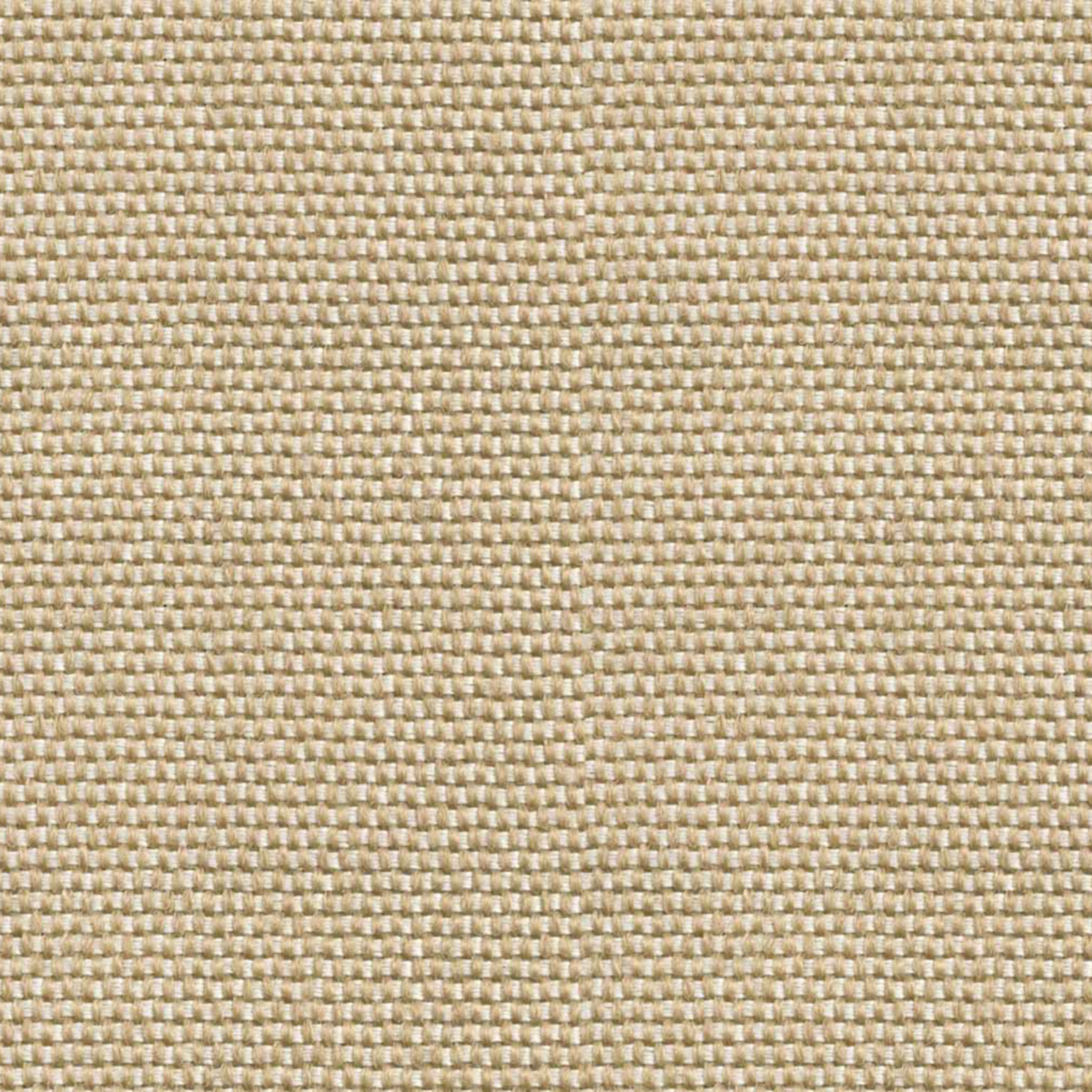 Imagem 0 de Papel de Parede Yuca da Coleção Sarape