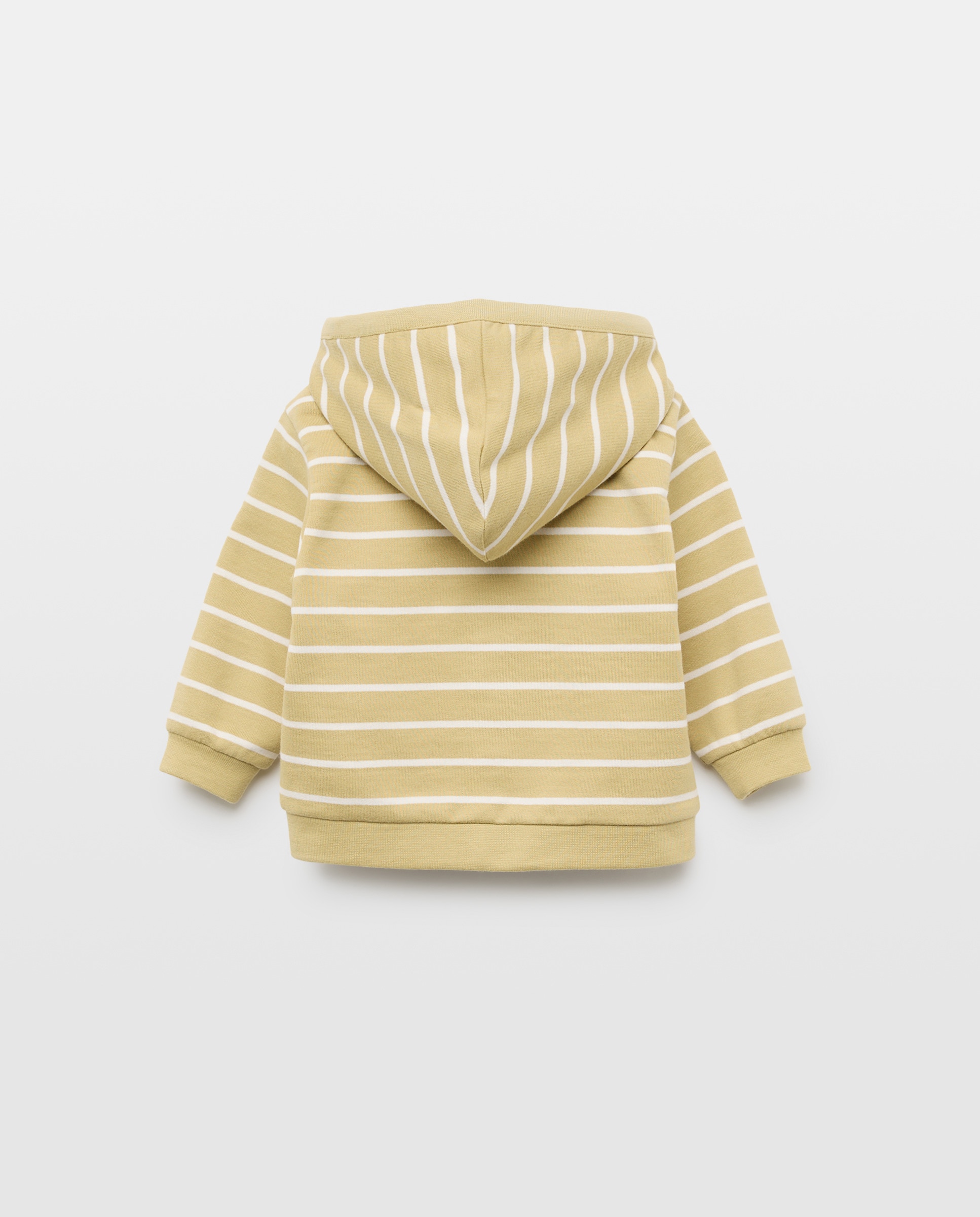 Sweatshirt Básica Fechada de Bebé sem Capuz Verde-2