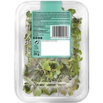 ready-to-eat mixed micro-sprouts tub 20 g