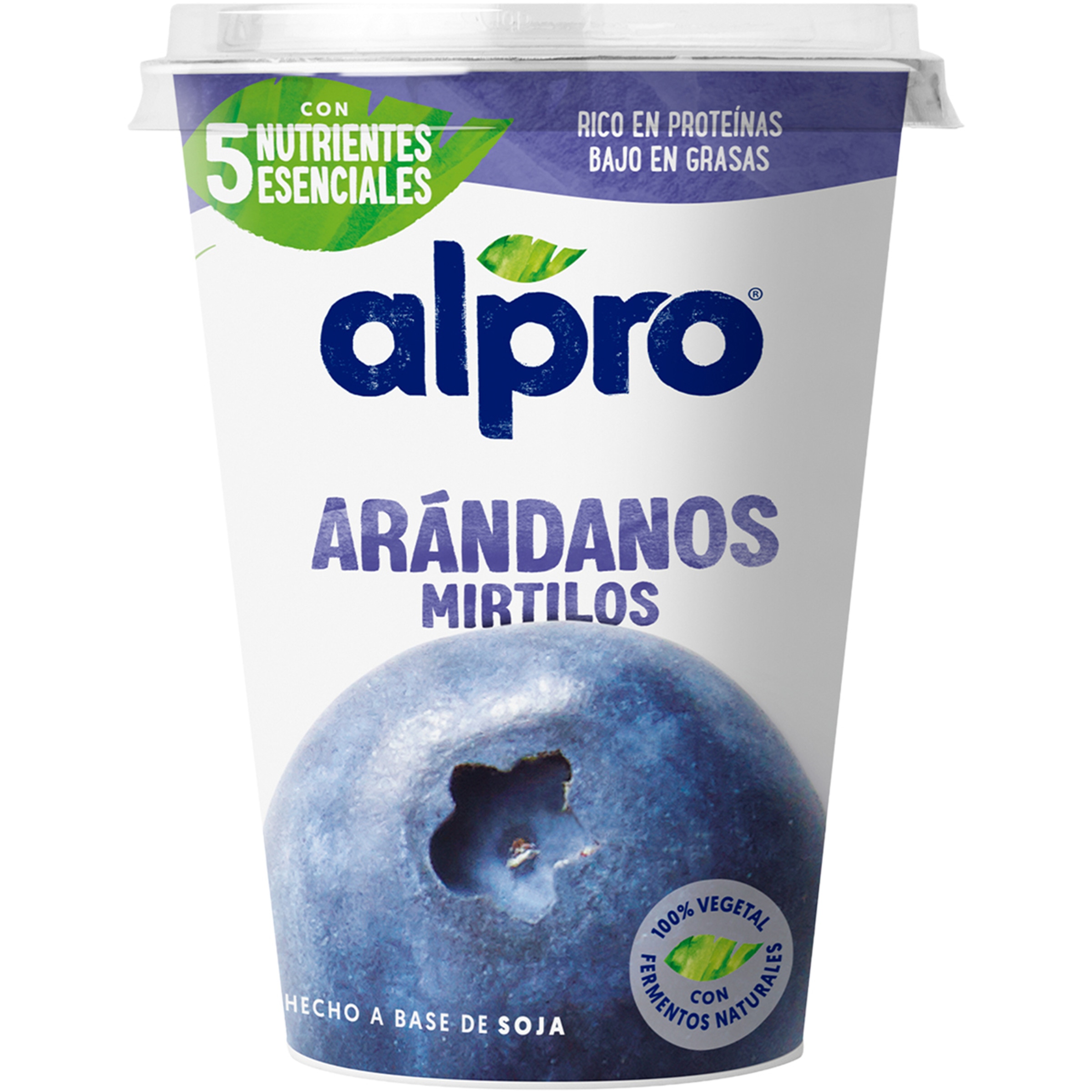 Big Pot especialidad vegetal de soja con arándanos sin gluten sin lactosa envase 400 g