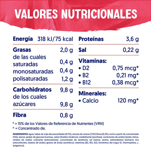 Big Pot plant-based cherry soya dessert container 400 g