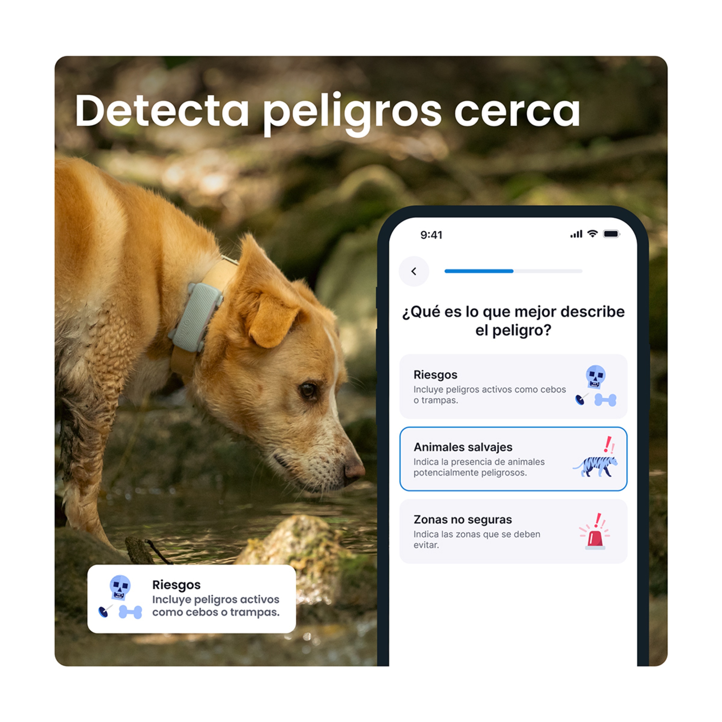 Gps para perros TRDOG6BR Tractive Menta-4