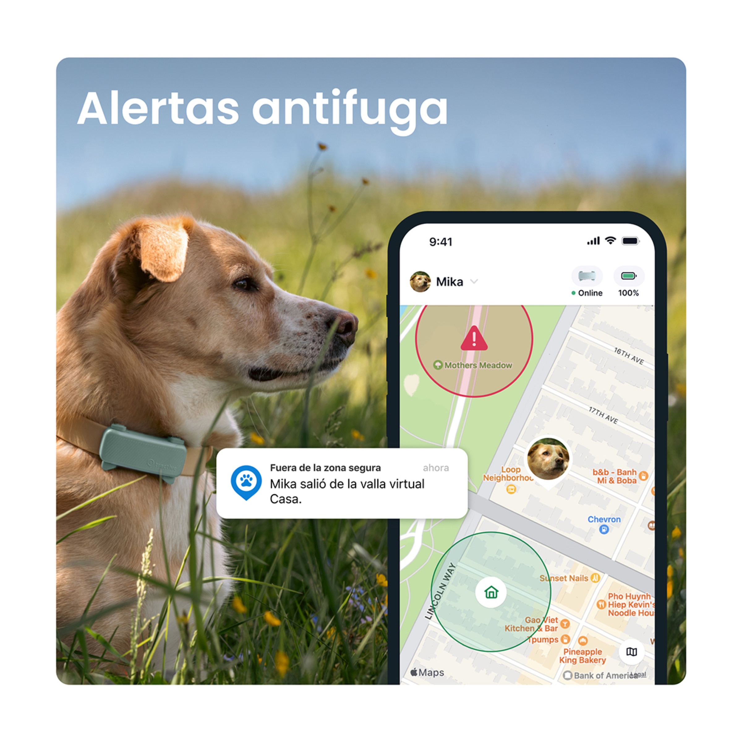 Gps para perros TRDOG6BR Tractive Menta-3