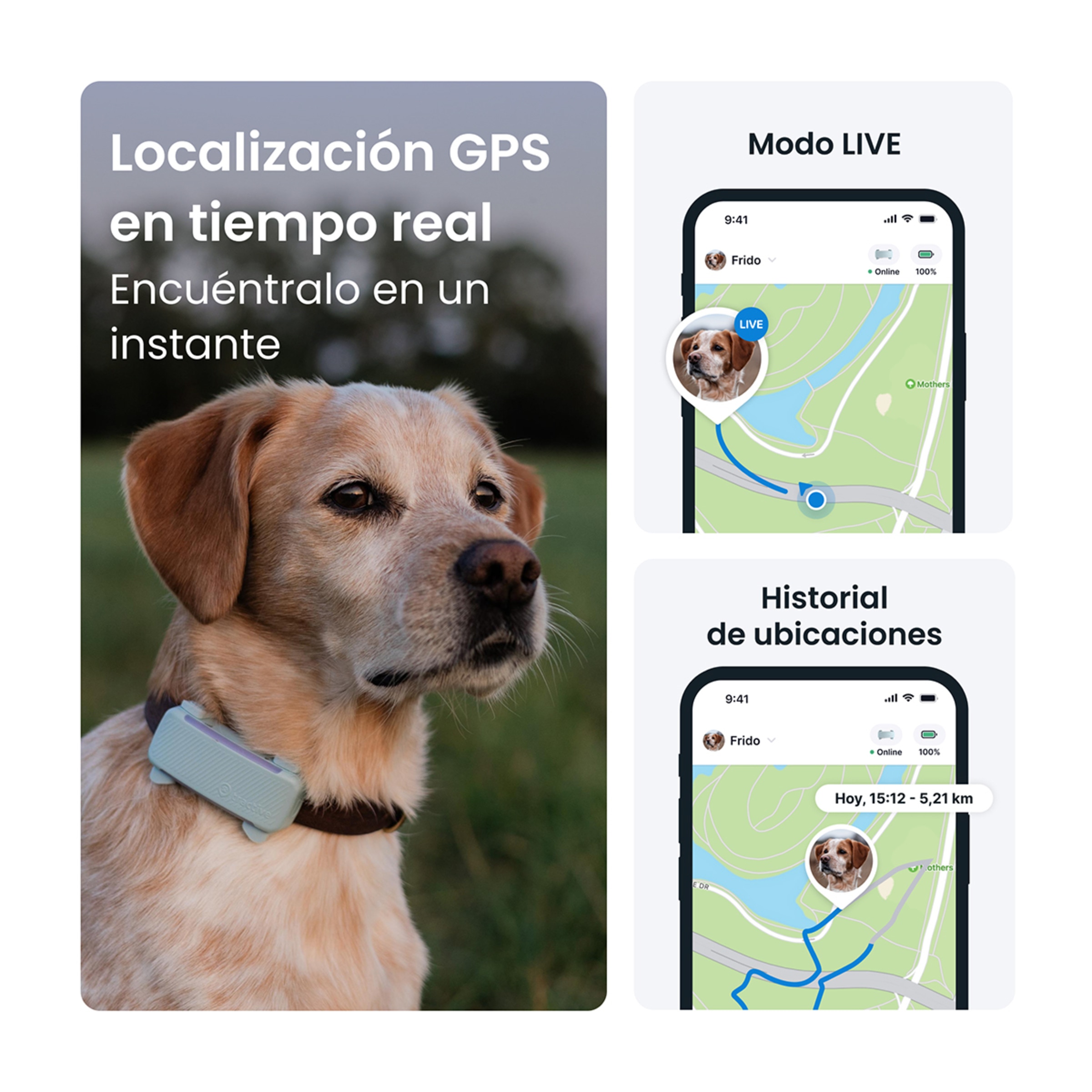 Gps para perros TRDOG6BR Tractive Menta-2