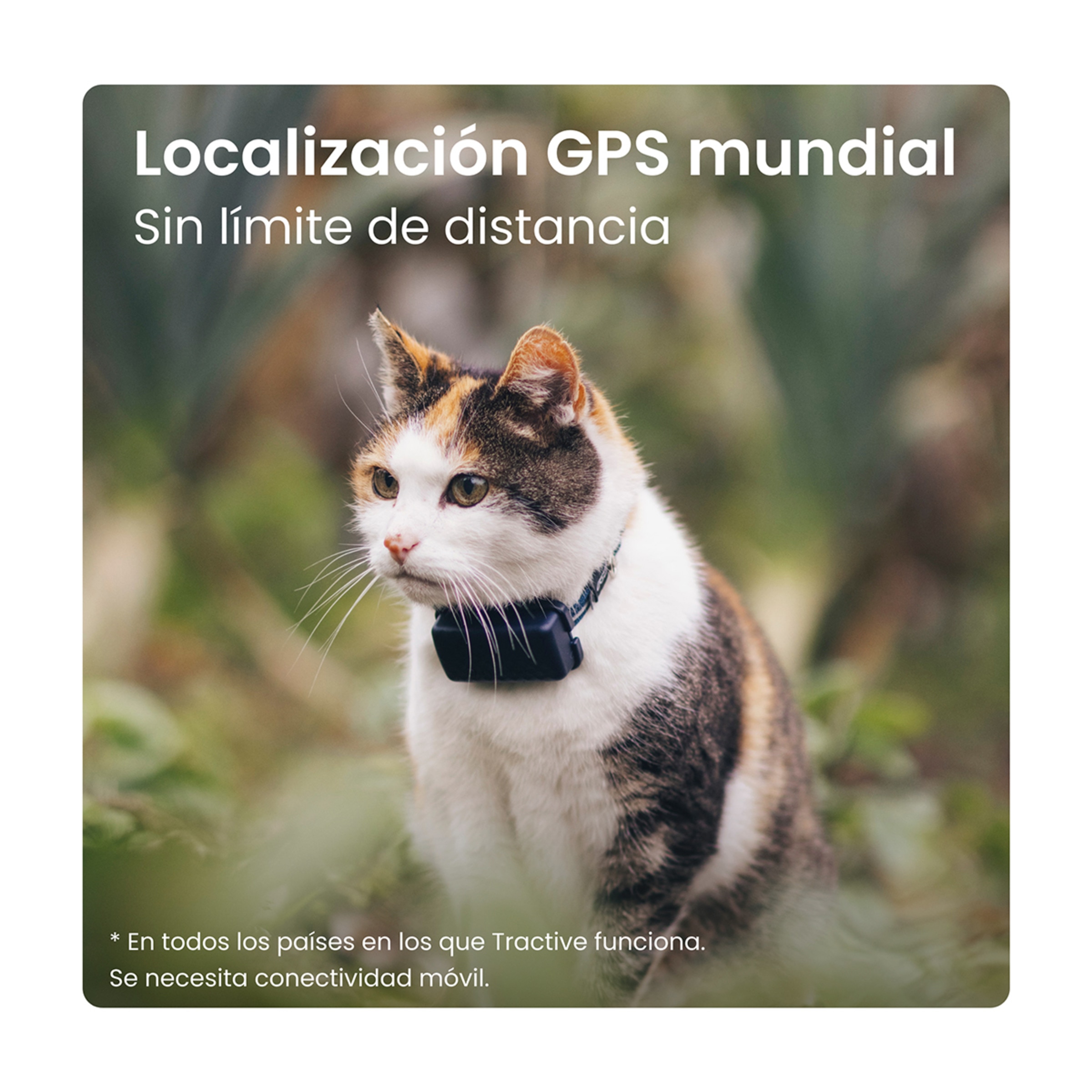 Gps para perros TRDOG6BR Tractive Azul-2