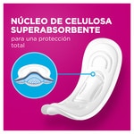 compresa sin alas Clásica normal bag 16 units