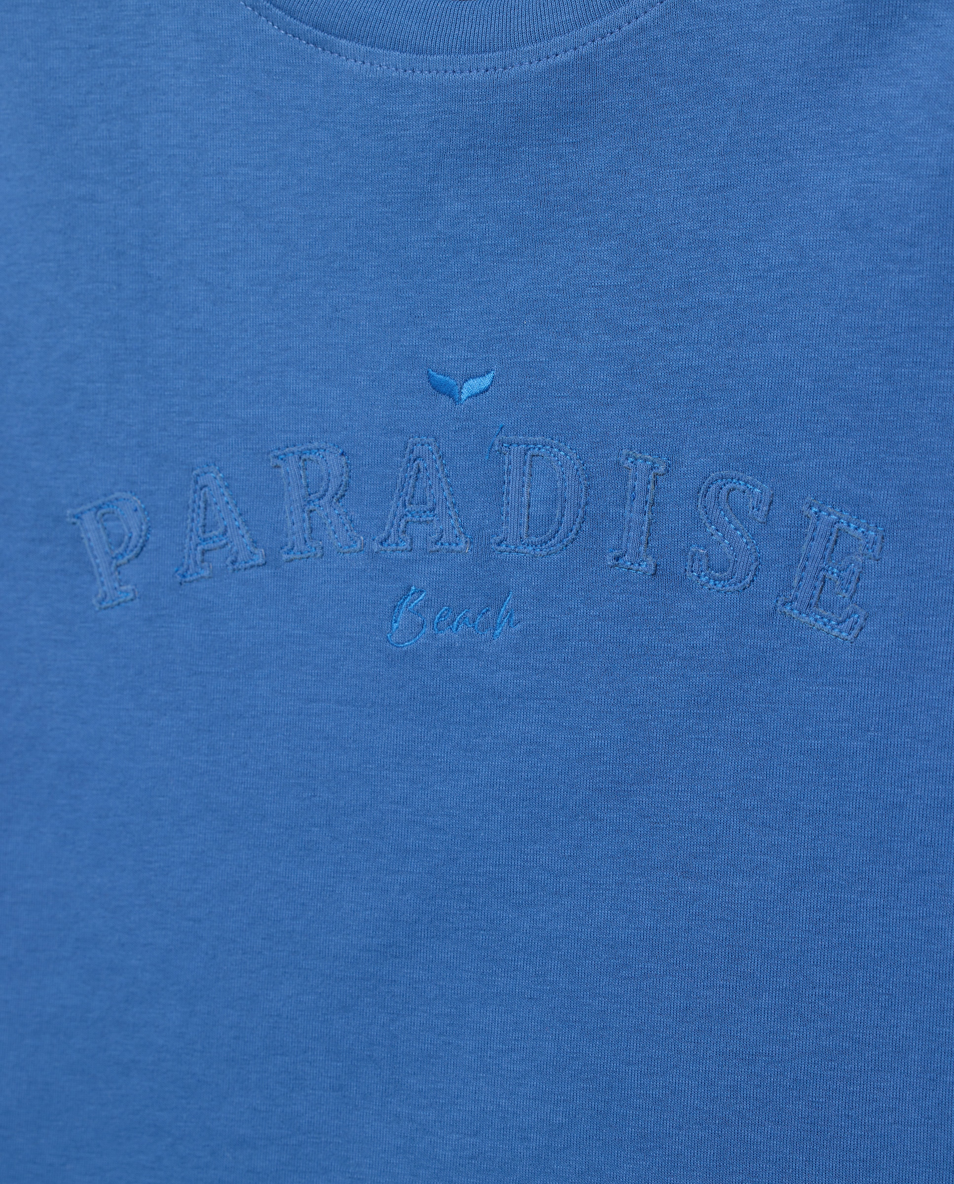 T-shirt de Manga Curta Lisa Azul pálido-5