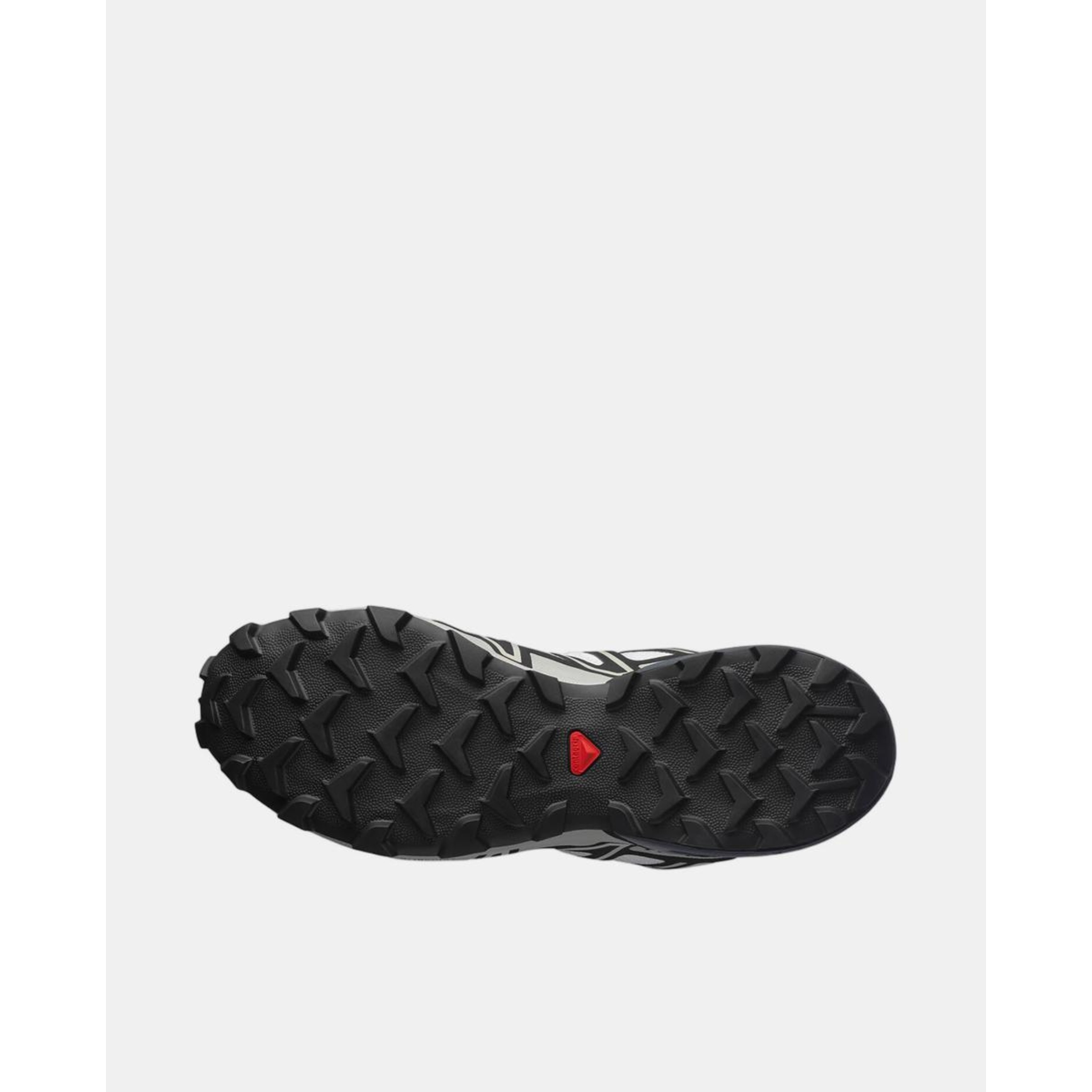 Sapatilhas Speedcross 3 GTX de Homem e Mulher 6